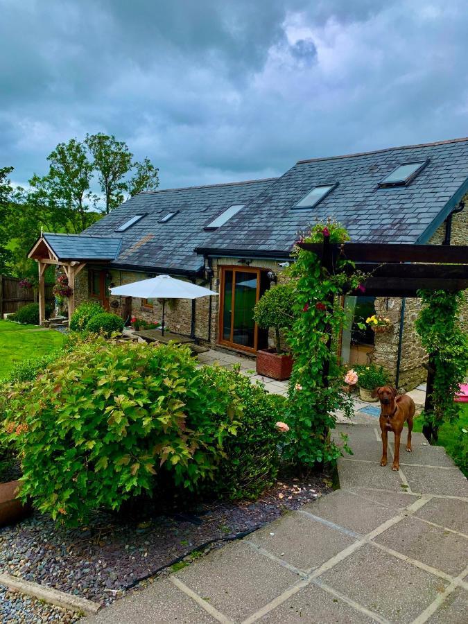 Beudy Bach Bed and Breakfast Cross Hands Εξωτερικό φωτογραφία